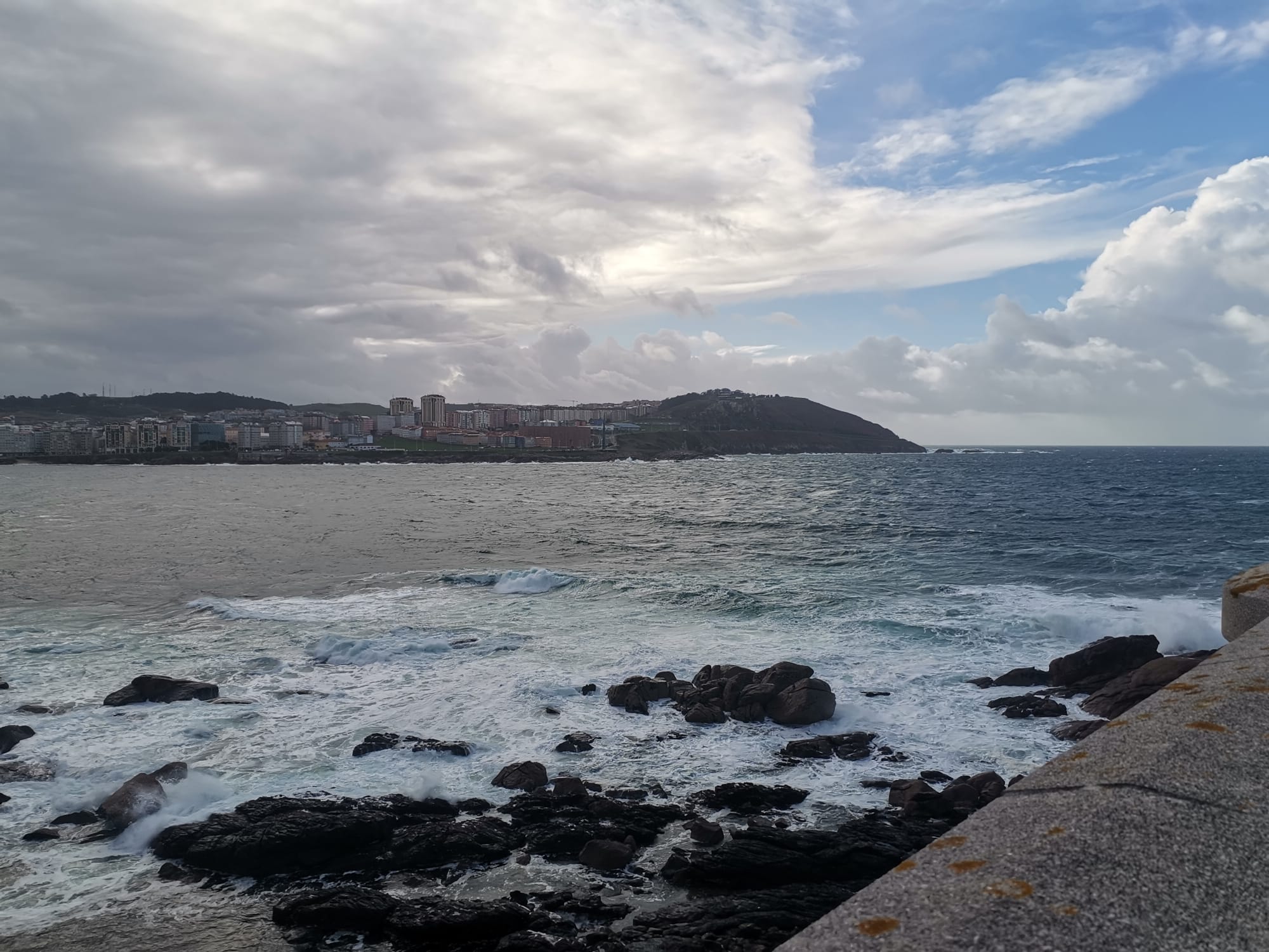 WhatsApp Image 2026 02 17 at 11.25.19