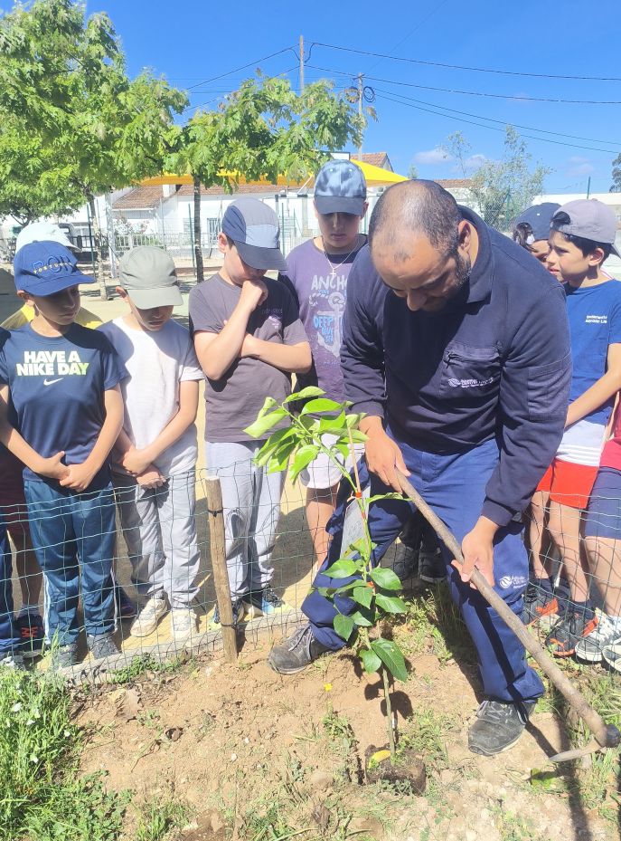 pfuncionario das aguas a plantar limoeiroEB1 Bairro
